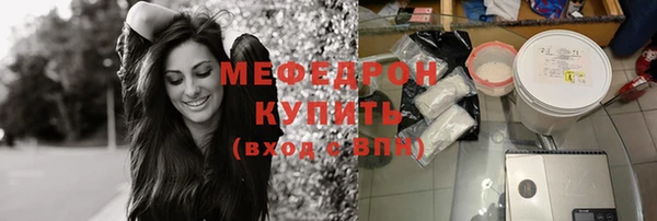 хмурый Аркадак