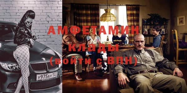 хмурый Аркадак