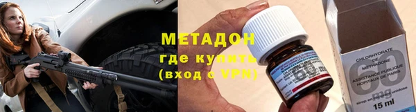 хмурый Аркадак