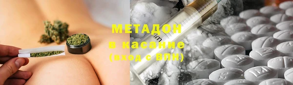 хмурый Аркадак