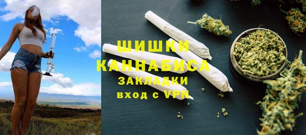 хмурый Аркадак