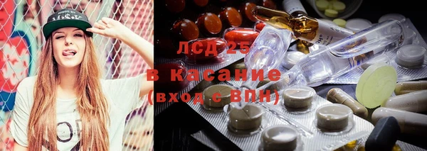хмурый Аркадак