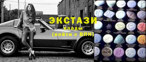 хмурый Аркадак