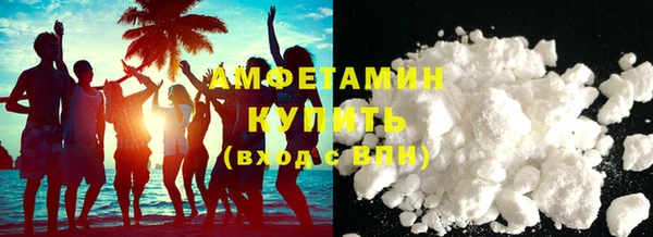 хмурый Аркадак
