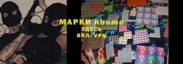 хмурый Аркадак