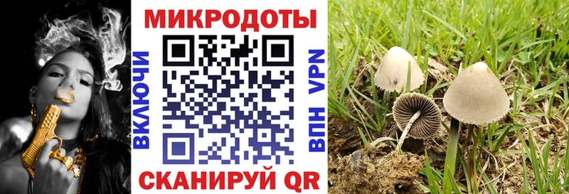 Галлюциногенные грибы Magic Shrooms Горячий Ключ